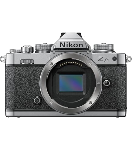 Nikon Z DX 16-50mm シルバー Nikon NIKKOR Z DX 16-50mm VR (Silver) | Compact mid-Range