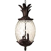 Acclaim 7516BC Lanai Collection 3-Light Outdoor Light Fixture Hanging Lantern, Black Coral