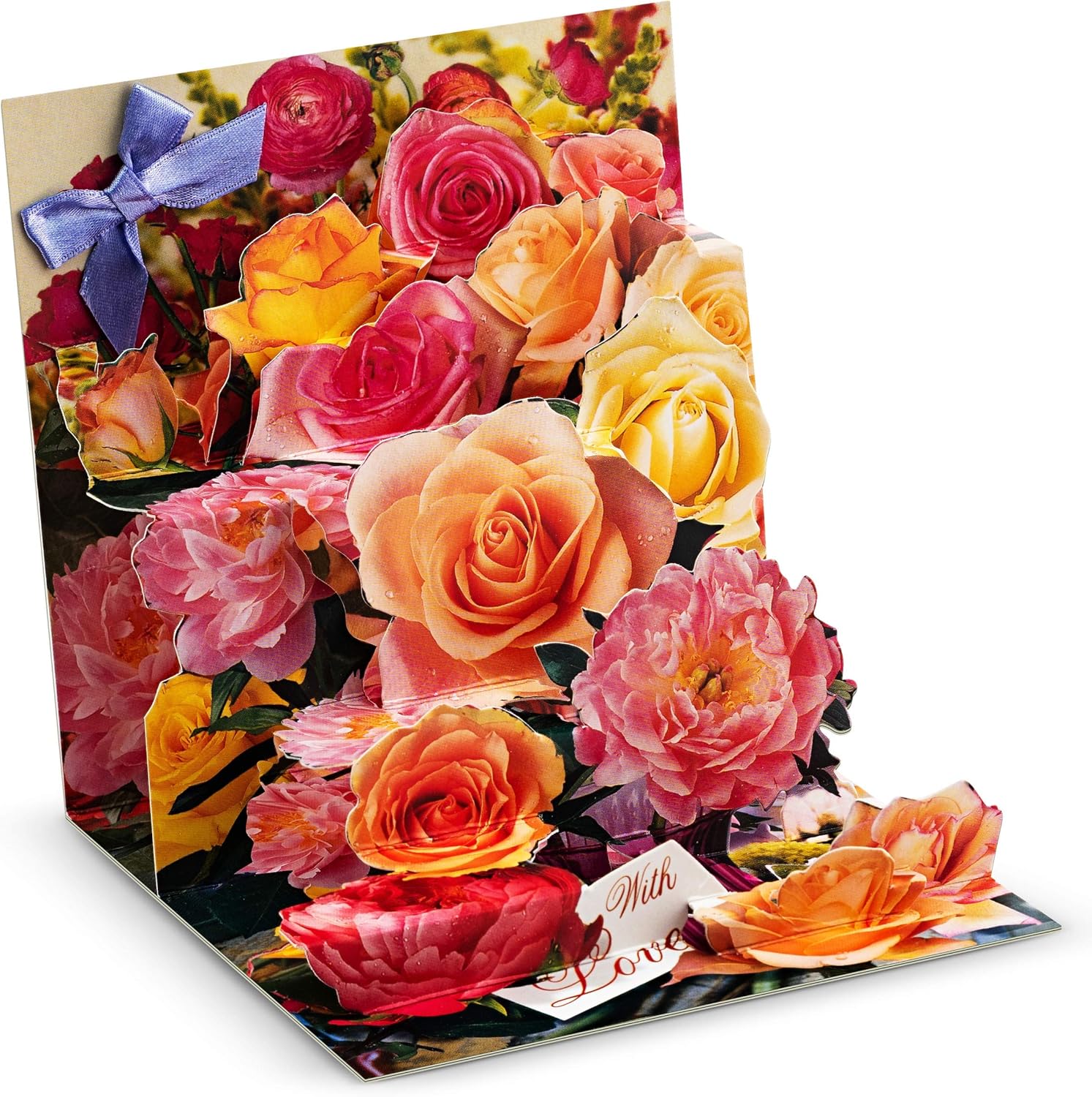 Amazon Com Happy Birthday Cards Holiday Greeting Christmas