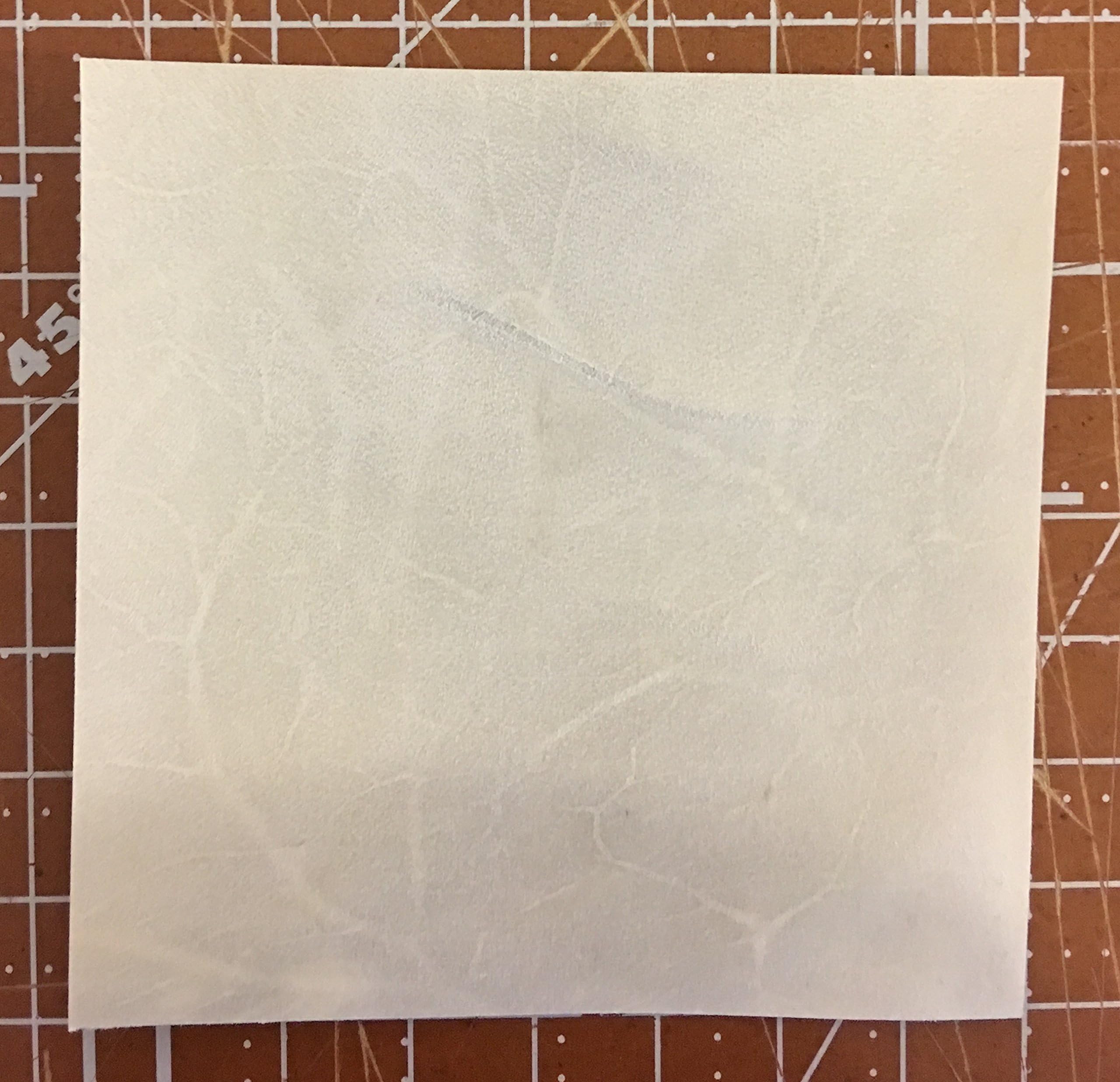 Genuine Parchment:3x3 Inches Real Medieval Parchment/vellum Skin