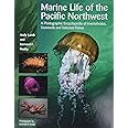 Marine Life of the Pacific Northwest: A Photographic Encyclopedia of Invertebrates, Seaweeds and Selected Fishes