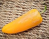 Giant Yellow Jalapeno Pepper Premium Seed Packet