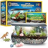 National Geographic Light Up Terrarium Kit for Kids - Build a Dinosaur Habitat with Real Plants & Gemstones, Science Kit, Din