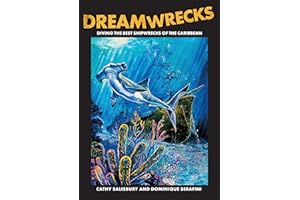 Dreamwrecks - Diving the best shipwrecks of the Caribbean