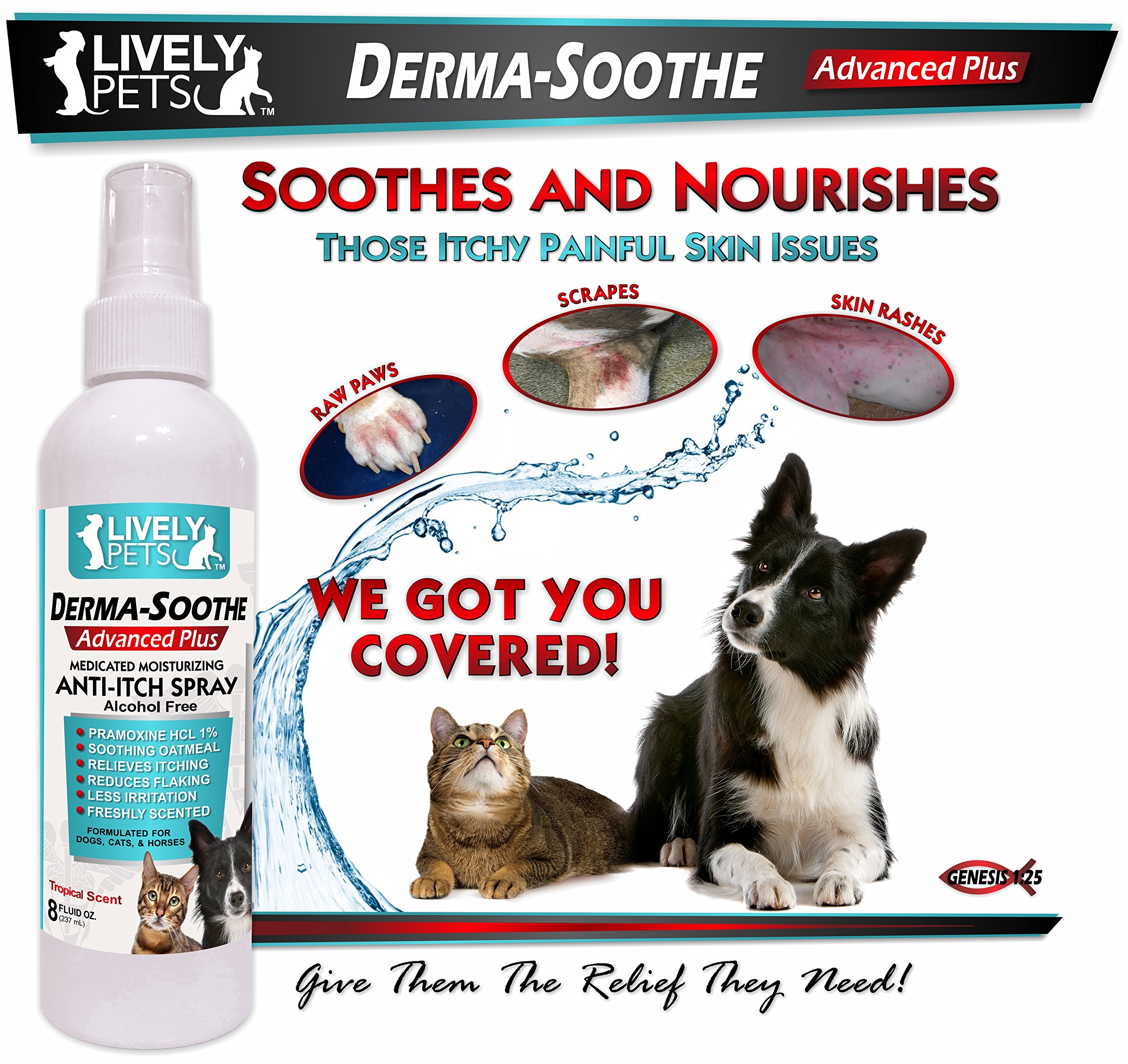 DermaSoothe Medicated Anti Itch Oatmeal Spray for Dogs and Cats with