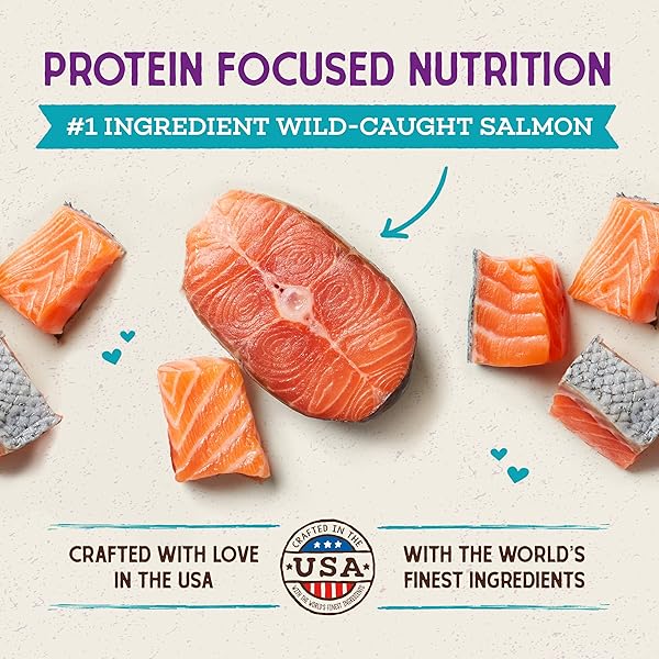 STELLA & CHEWY’S RAW COATED CAT FOOD – HIGH PROTEIN, GRAIN-FREE KIBBLE WITH WILD-CAUGHT SALMON – PREMIUM DIGESTIVE SUPPORT WITH PROBIOTICS – NATURAL SMALL KIBBLE – PERFECT FOR PICKY EATER – 2.5LB BAG