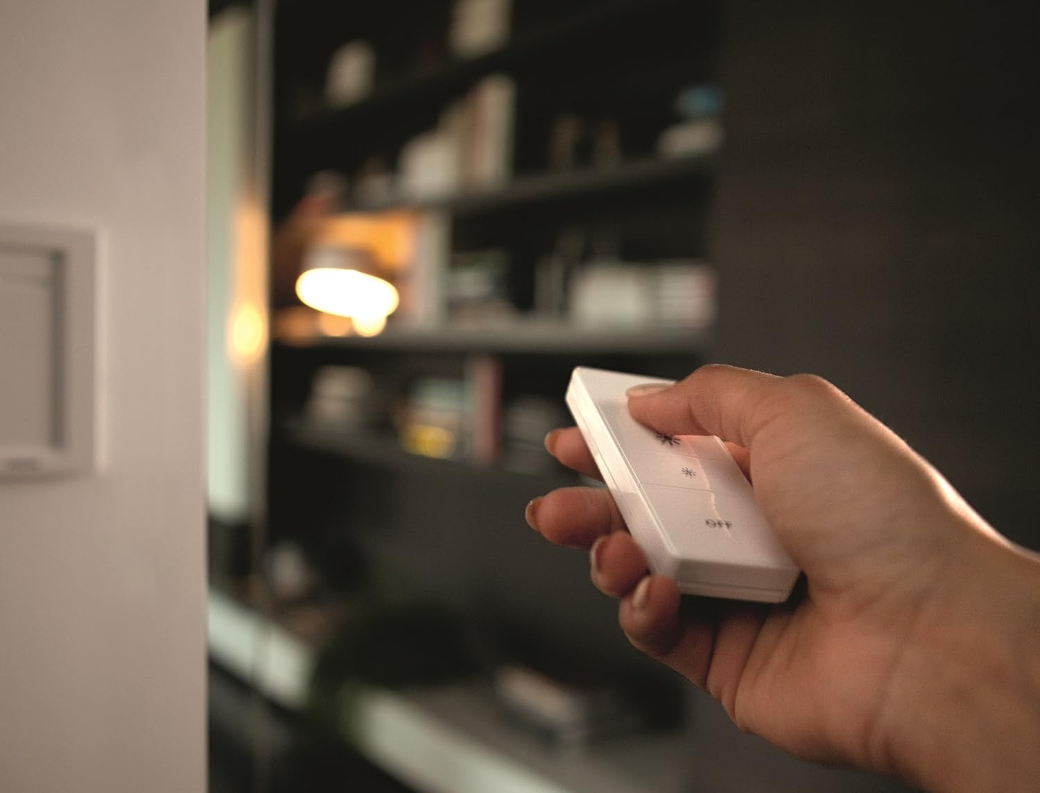Philips Hue Smart Dimmer Switch and Remote (Requires Hue Hub, Installation-Free, Smart Home, Exclusively for Philips Hue Smart Bulbs) - - 