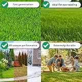 A1Lawn A1 Lawn 5kg Multi-Purpose Grass Seed DEFRA Approved Fast Growing view 2