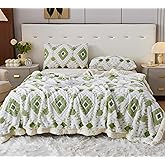 LEVINIS Bohemian Sherpa Bed Blanket 60'' × 80'', Sherpa Fleece Blankets for All Season, Southwestern Aztec Throw Blanket for Bed/Couch/Sofa/Office/Camping, Green