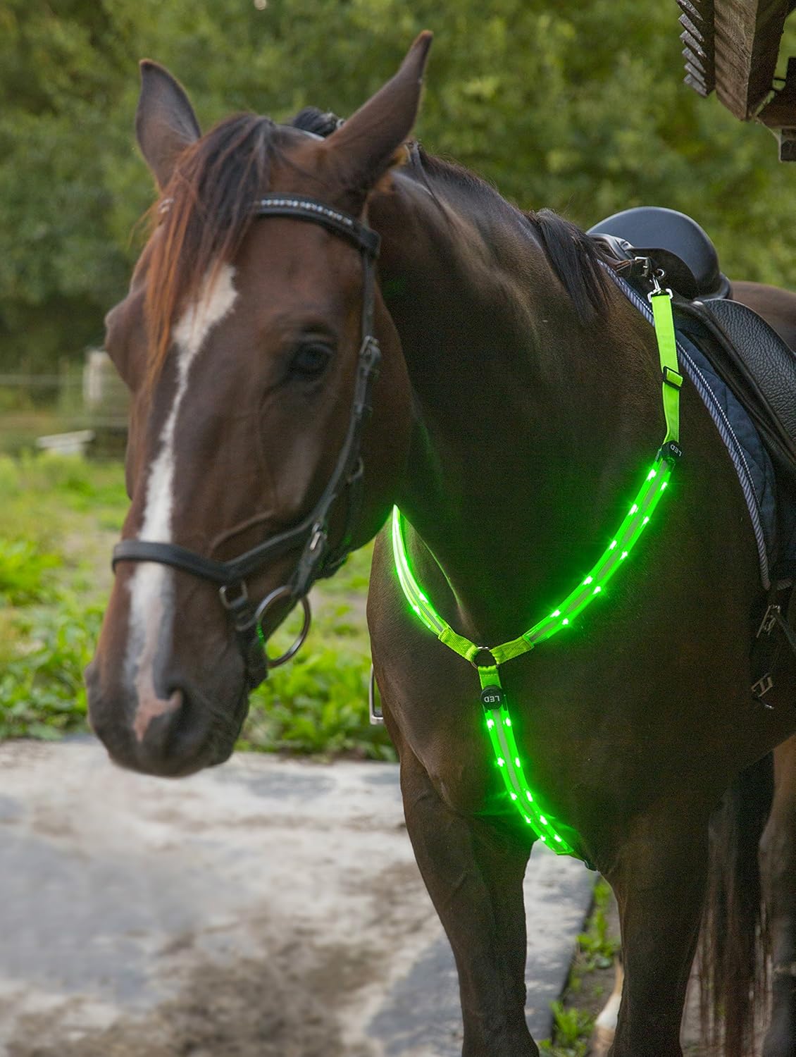 LED Horse Breastplate Collar USB Rechargeable Best High Visibility Tack For Horseback Riding