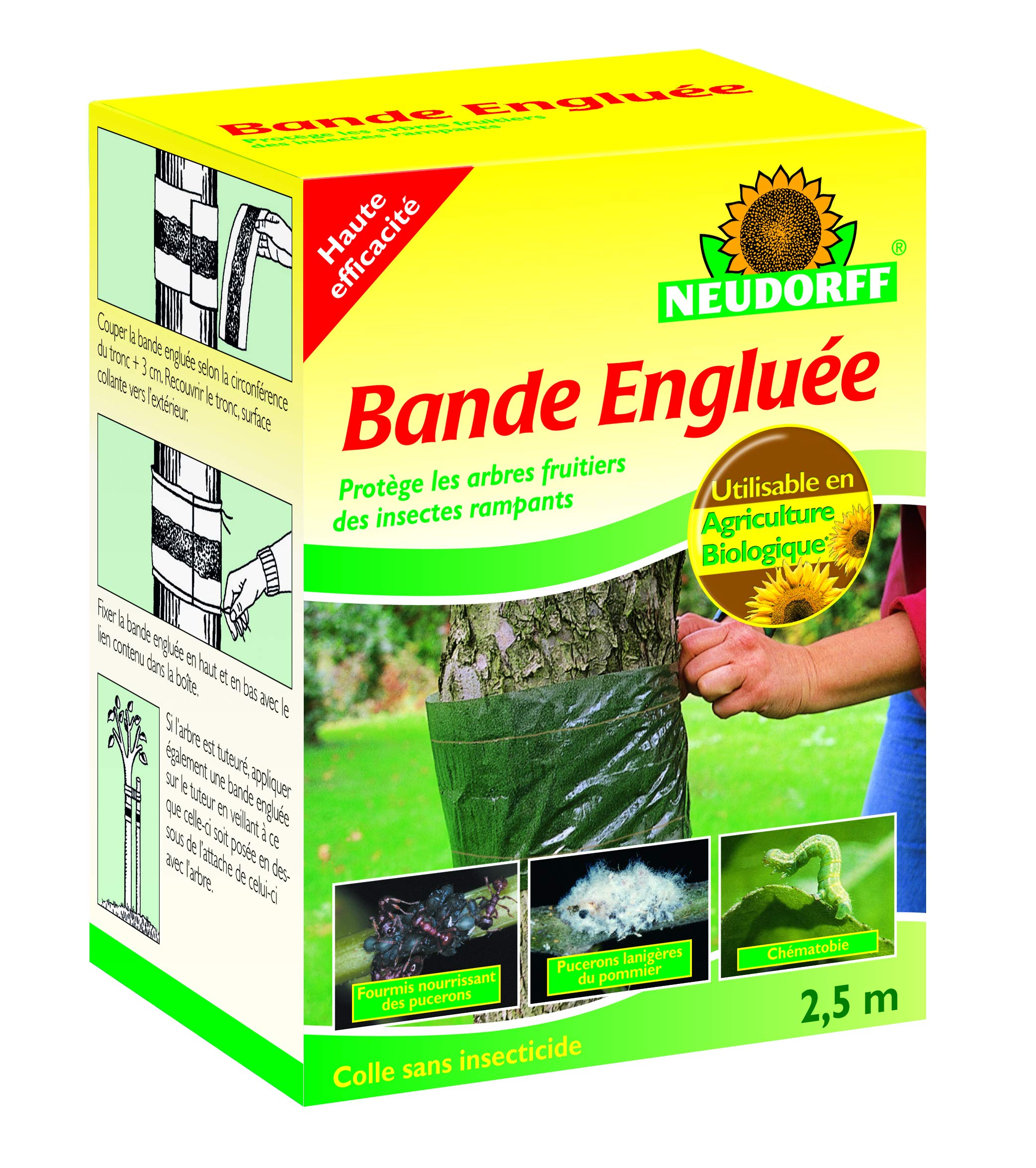 Neudorff 617046 engluée Tape, Green, 2.5 m