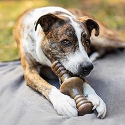 Benebone Zaggler Rolling Dog Chew Toy for