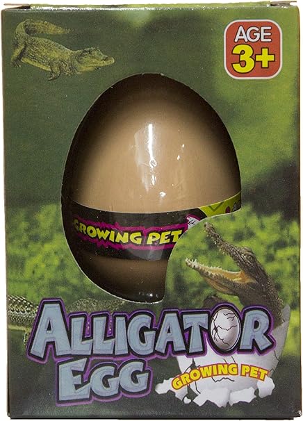 amazon egg toy