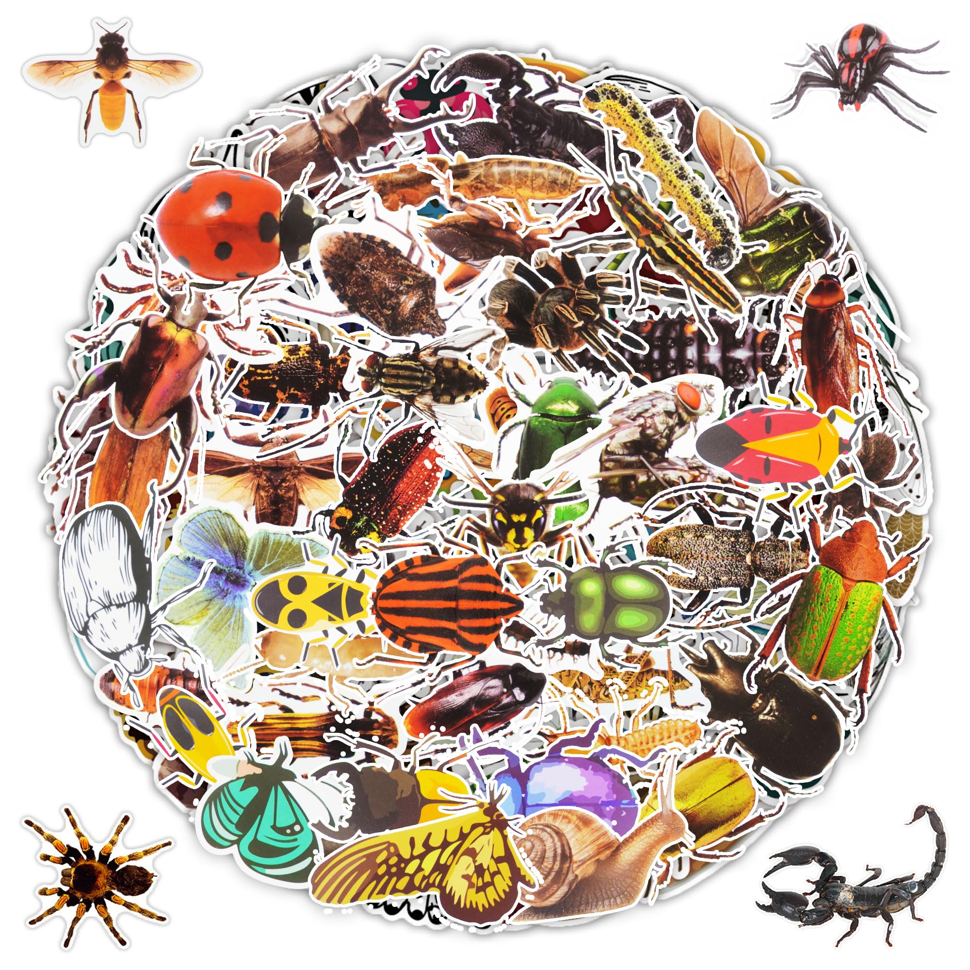 Photo 1 of 100 PCS Insect Stickers Cartoon Bug Stickers for Laptop Water Bottle Computer Refrigerator Luggage Phone Case Bicycle Teens (Insect)