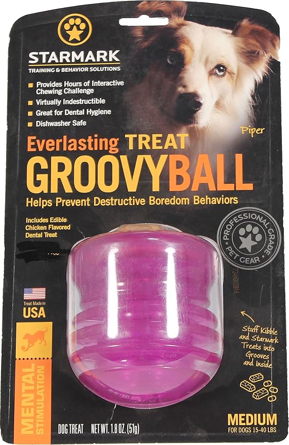 everlasting ball dog toy