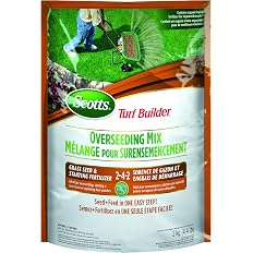 Scotts Turf Builder Overseeding Mix Grass Seed & Starting Fertilizer 2-4-2, 2kg (341 sq Meters / 3,670 sq feet Coverage) | Repair Thin Lawns, Fast Germination, Strong Roots - View 5