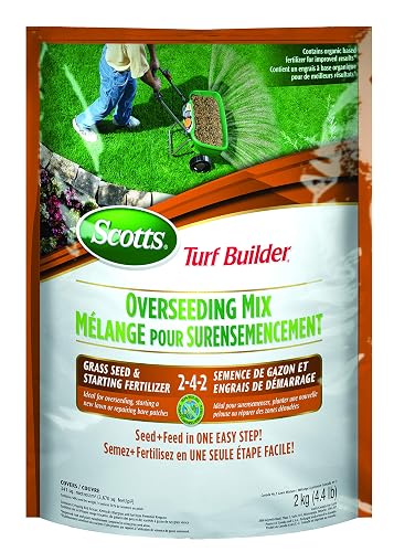 Scotts Turf Builder Overseeding Mix Grass Seed & Starting Fertilizer 2-4-2, 2kg (341 sq Meters / 3,670 sq feet Coverage) | Repair Thin Lawns, Fast Germination, Strong Roots
