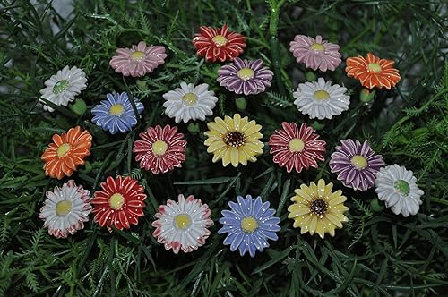 20 Keramikblumen: Gänseblümchen