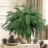 Rowfad 12 Pcs Artificial Norfolk Pine Branches Faux Christmas Stems (12) | Faux Norfolk Pine Stems, Christmas Greenery Stems,Real Touch Picks and Sprays, Christmas Decor, DIY for Wreath Garland Tree