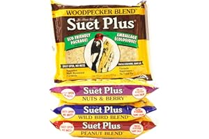 ST. ALBANS BAY SUET PLUS Variety Pack of 4 Flavors of Suet Cakes for Wild Birds 11 Ounces Each