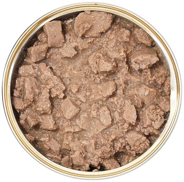 AMAZON BRAND – WONDER BOUND WET CAT FOOD, GRAVY, NO ADDED GRAIN, 3 OZ CANS, PACK OF 24 (SEAFOOD)