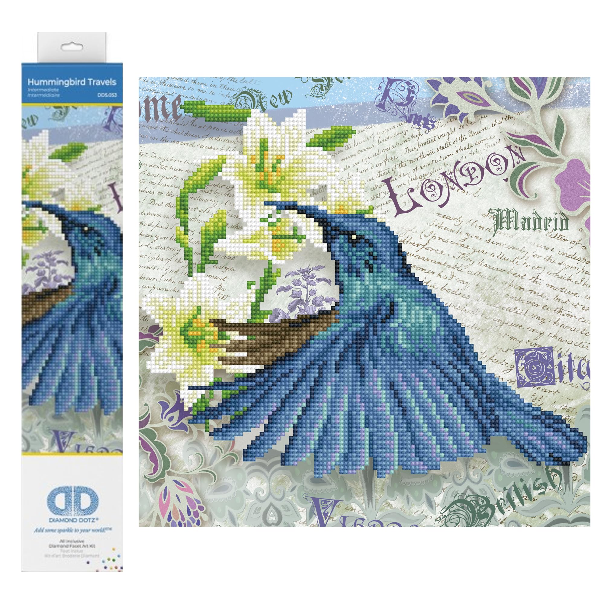 DIAMOND DOTZ Painting, Intermediate Kit DD5, Hummingbird Travels, 30 x 30cm โ image 1