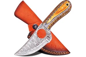 Ancilla Handmade Damascus Hunting knife - EDC Camping Knife - Fixed blade Mini Pocket knife - Full Tang Bushcraft, Camping and Skining knife with leather sheath - Predator Hunter Viking Knife