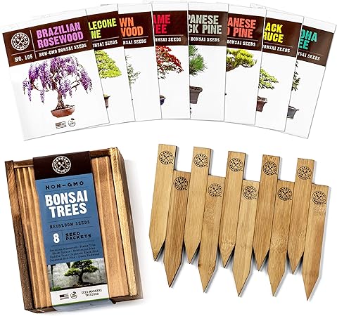 Amazon.com : Bonsai Tree Seeds Kit - 8 Popular Varieties of Non GMO Mini Bonsai Trees, Bamboo Plant Markers, Wood Gift Box - Bonzie Tree Seed Starter Kits, Grow Bonzai Indoor Garden, Amazon.com : Bonsai Tree Seeds Kit - 8 Popular Varieties of Non GMO Mini Bonsai Trees, Bamboo Plant Markers, Wood Gift Box - Bonzie Tree Seed Starter Kits, Grow Bonzai Indoor Garden,