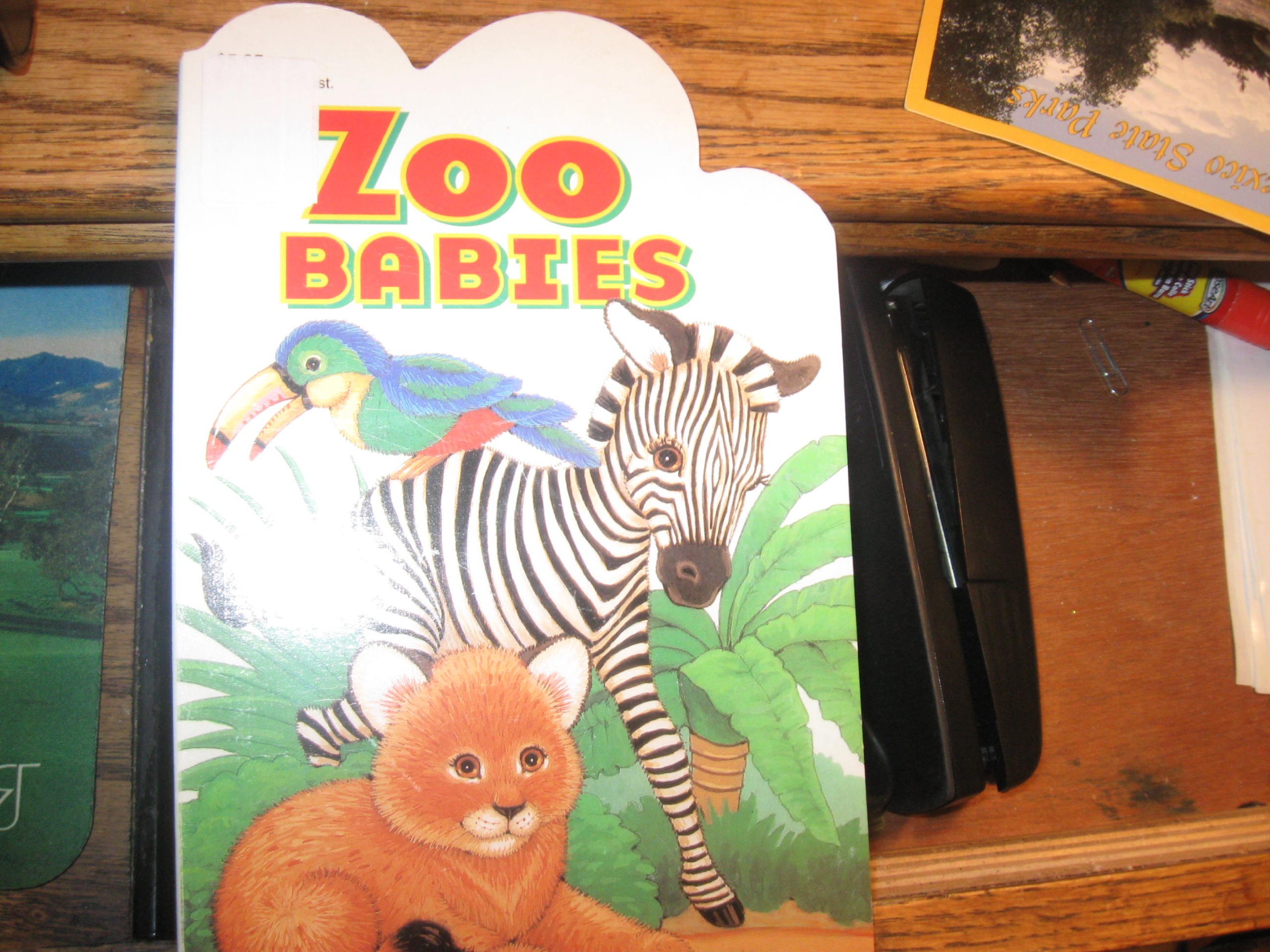 zoo babies book