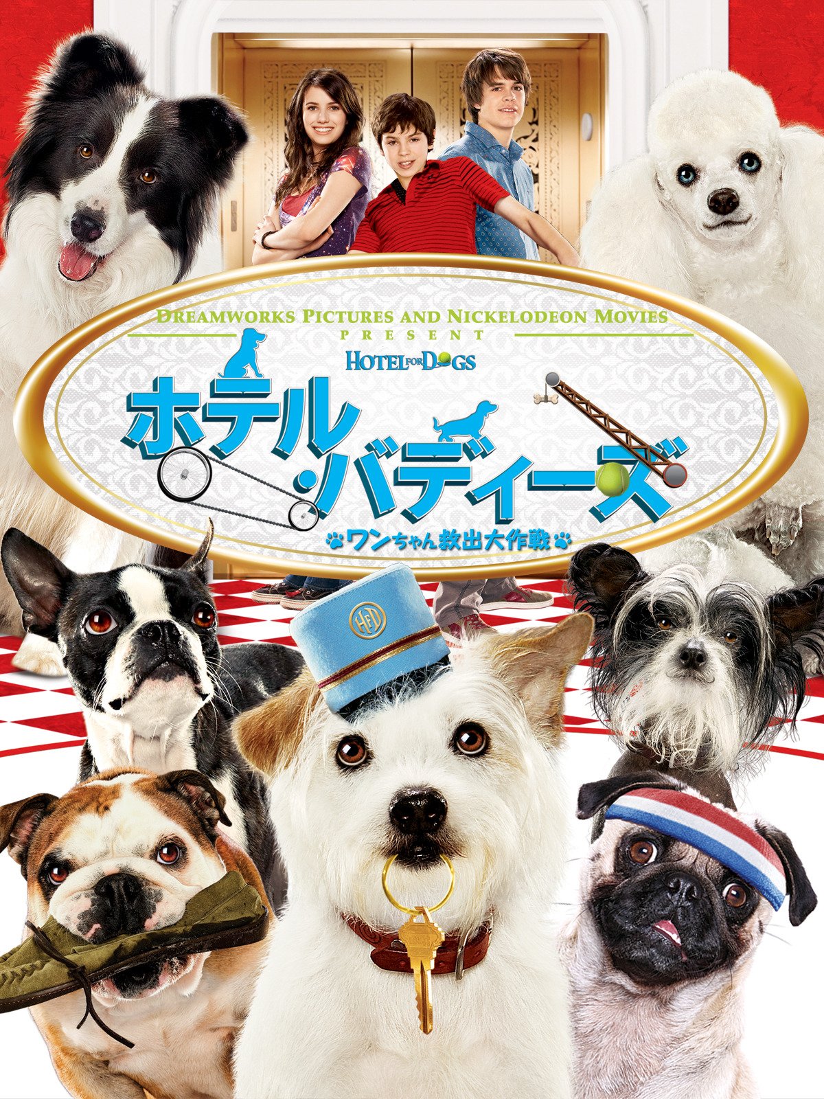 Amazon Co Jp ホテル バディーズ ワンちゃん救出大作戦 字幕版 を観る Prime Video