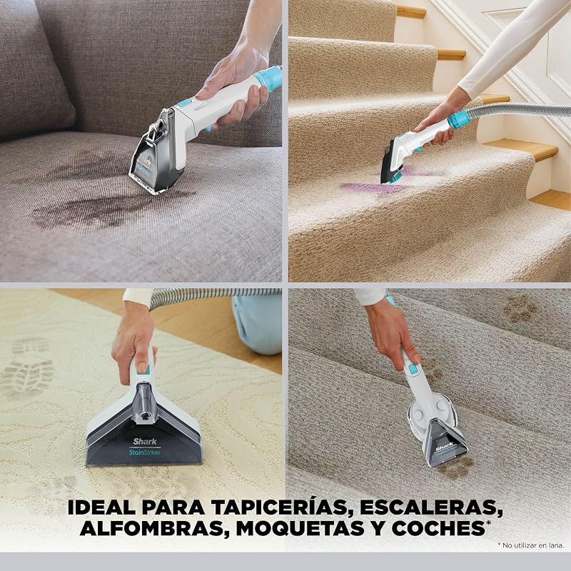 StainStriker, Limpiador Quitamanchas con 5 Accesorios, 450W