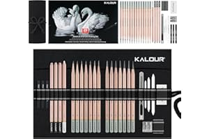 KALOUR 29 Pro Sketching Drawing Pencils Set with Roll-Up Nylon Case – 14 Graphite Pencils (14B–5H), Charcoal Pencils, Erasers, Sharpener & Stumps – Complete Art Kit for Artists & Beginner
