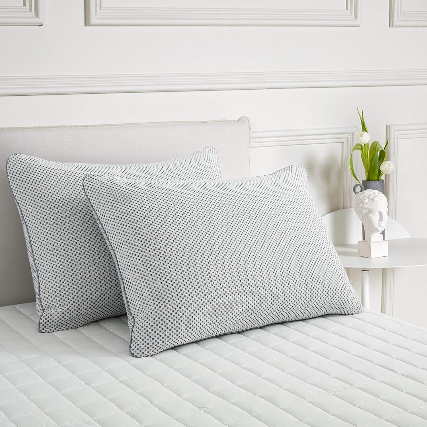 puredown Natural Goose Down Feather Pillow with Breathable Bamboo Charcoal Fabric Cover Soft Pillow,Set of 1 Standard Size: Home & Kitchen