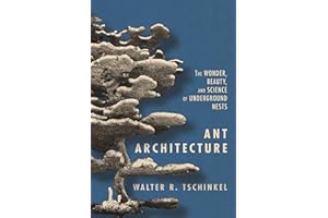 Ant Architecture: The Wonder, Beauty, and Science of Underground Nests
