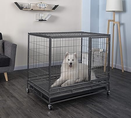 large rough haired dog