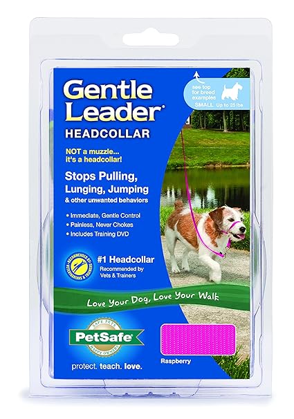 Small gentle leader Clearance