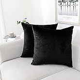 NiNi ALL Decorative Throw Pillow Covers Pack of 2 Velvet Throw Pillow Cases for Couch Pillows Cover Bedroom Living Room Outdoor, Pillow Covers 20x20 Inch Black