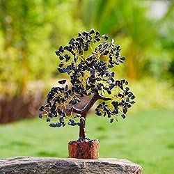 YUVDIPR Black Tourmaline Tree of Life of Life