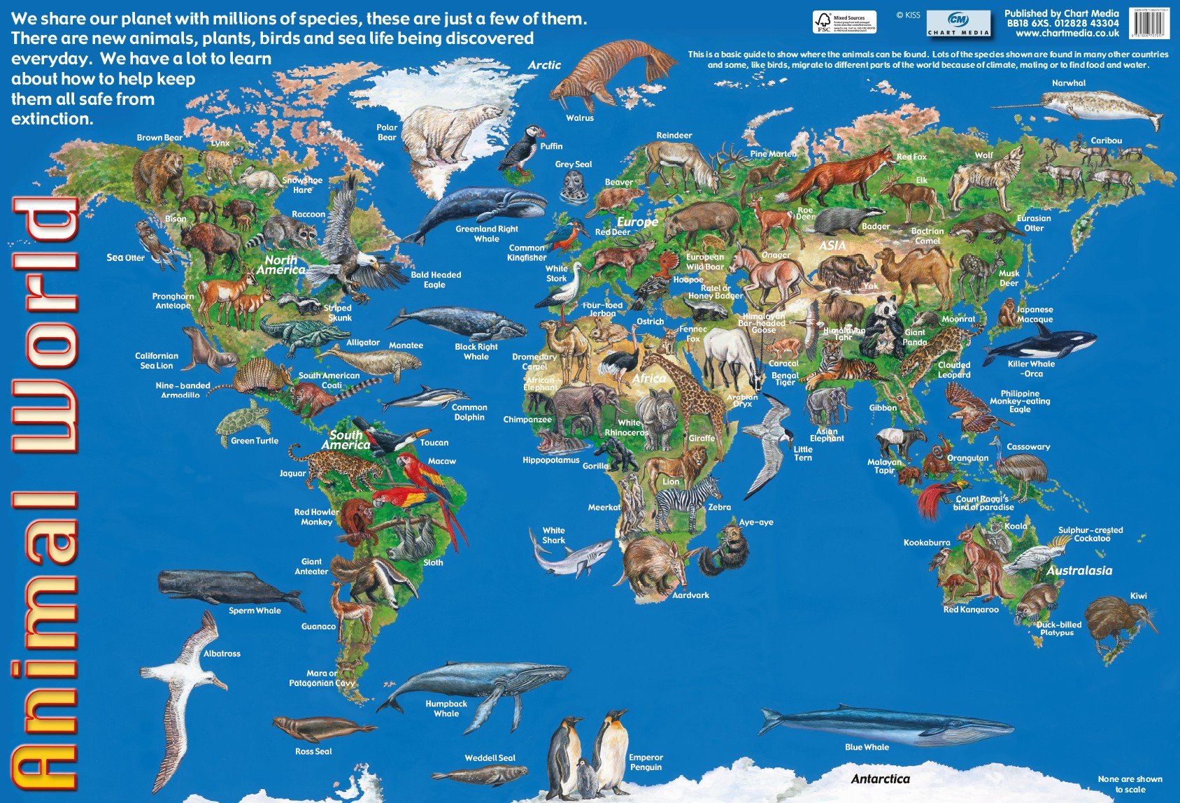 Early Years Animal World MAP/Endangered Animals World MAP School