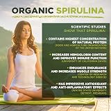 MySuperfoods Spirulina Powder Organic 1kg Vegan Calcium Rich view 3