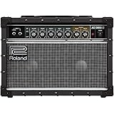 Roland/JC-22 ローランド ギターアンプ ジャズコーラス 30W