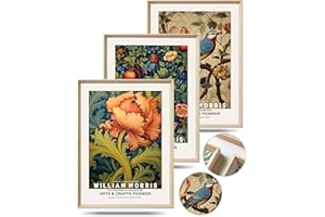 UPWOIGH Framed Wall Art, William Morris Wood Canvas Wall Decor,12"x16" Cotton Pattern Colorful Botanical Bird Poster Wall Art