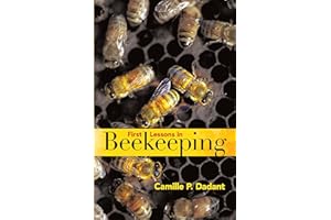 First Lessons in Beekeeping