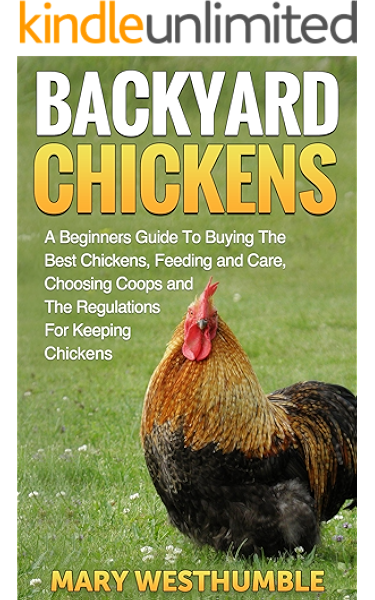 Backyard Chickens A Beginners Guide To Getting The Best Chickens