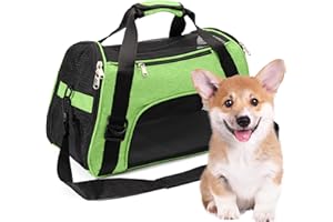 2 BROTHERS WHOLESALE Collapsible Cat Carrier Soft - Secure & Comfortable Small Dog Carriers - Portable Small Pet Carrier for Cat - Lightweight Small Rabbit Carriers for Travel (Medium, Green)