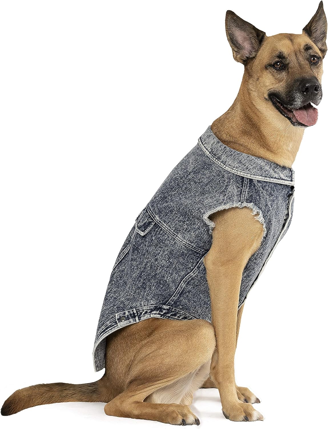 denim vest dog