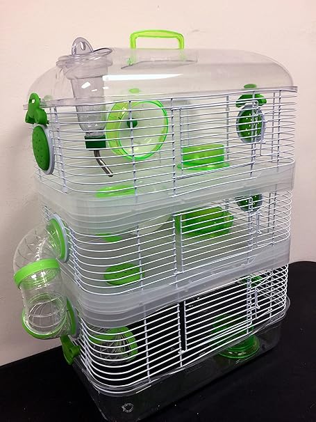 pet mouse habitat