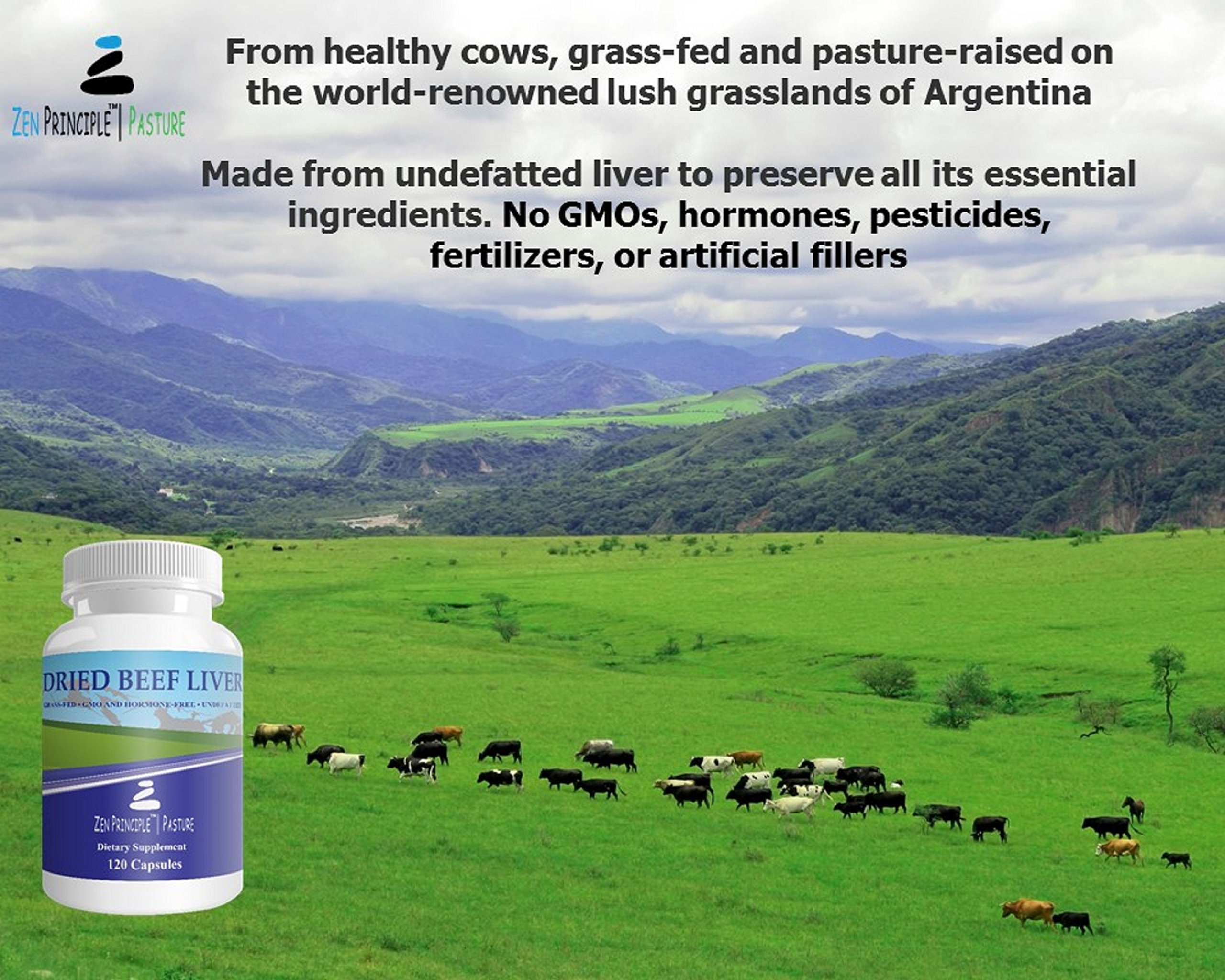 Ultra-Pure Desiccated Beef Liver, Grass-Fed, Pasture-Raised Cows. No Hormones or GMO. Natural Energy and Workout Boost from Iron, Amino Acids, Protein and Vitamins. 120 Capsules 750 Mg.