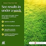 Lawn UK Sprogs & Dogs Grass Seed 500g Fast Growing 15sqm Coverage view 3