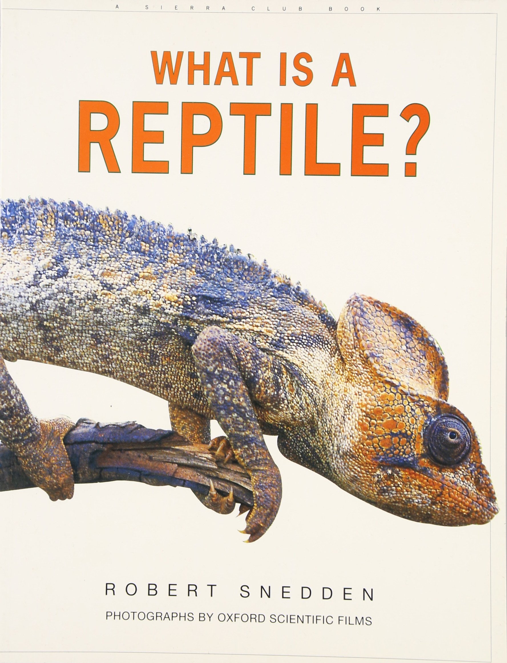 What Is A Reptile Snedden Robert Oxford Scientific Films 9780871569301 Amazon Com Books